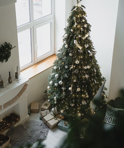 chart showing price comparison between yamba tobacconist physical stores and online retailers in 2026