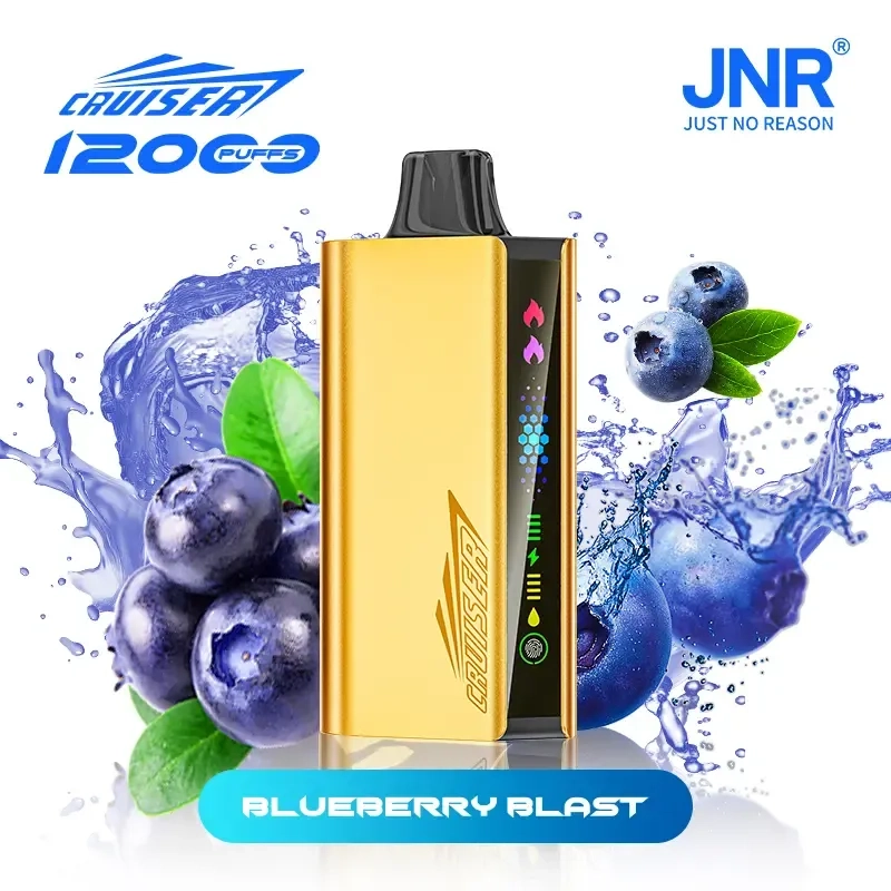 vapes perth jnr cruiser 12000 blueberry blast