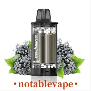 is it illegal to vape in australia - Australian airport customs officer inspecting vape devices in passenger luggage