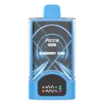 Picco Break 30000 Puffs – Blueberry Kiwi