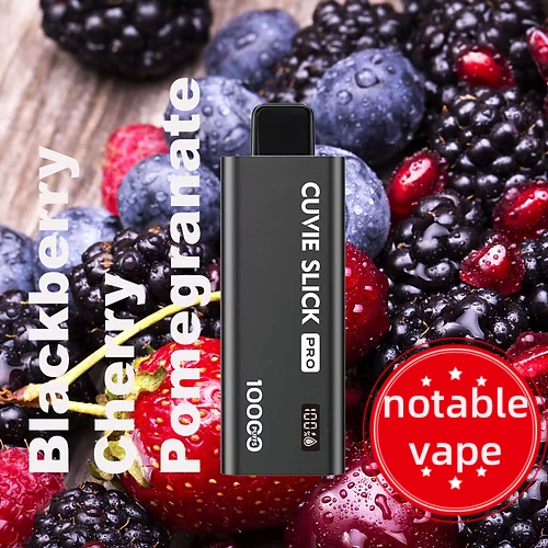 cbdb35_b7d331cbf9134803b4525142b94b6f7bmv2 HQD Slick Pro - Black Cherry Pomegranate - 10,000 - Image 1