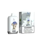 Fumot Digital Box 12000 Puff – Cool Mint