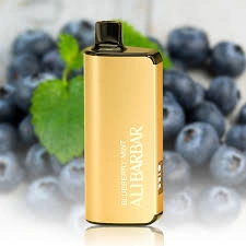 vapes australia online - Bangbox 30000 Puffs Dual Mesh